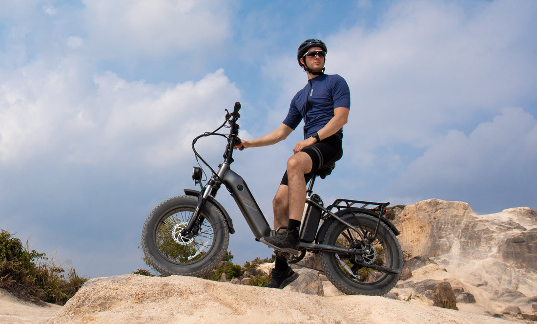 image de l'équitation FF20 Polar