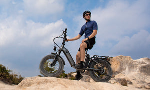 image de l'équitation FF20 Polar