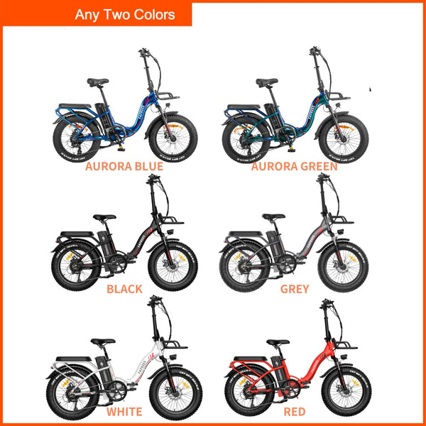 Ebike Offre groupée - Fafrees F20 MAX  (2 packs)