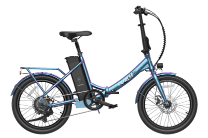 couleur_Sarcelle radieuse