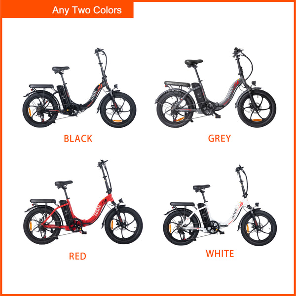 Ebike Offre groupée - Fafrees F20 (2 Pack)