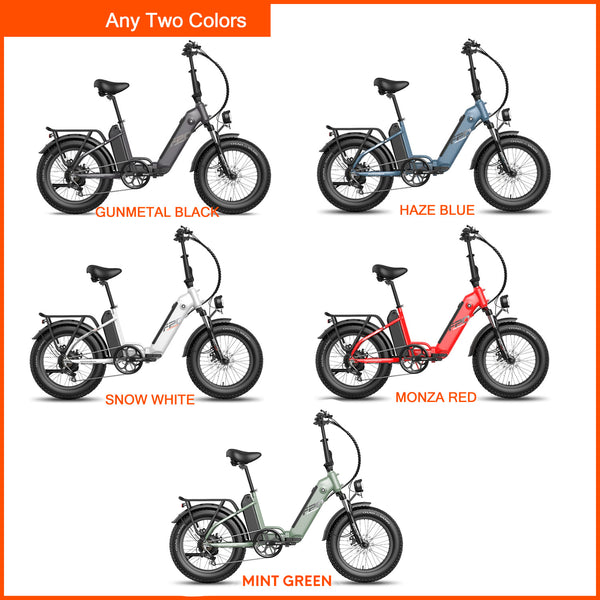 Ebike Offre groupée - Fafrees FF20 Polar  avec deux piles (2 packs) - fafreesebike